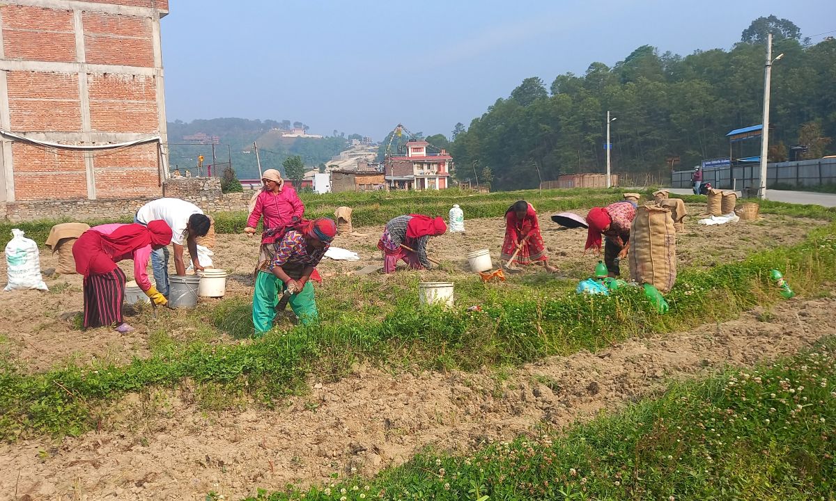 मिथिलाञ्चलमा आजदेखि चैती छठ सुरु